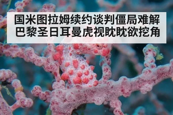 国米图拉姆续约谈判僵局难解 巴黎圣日耳曼虎视眈眈欲挖角
